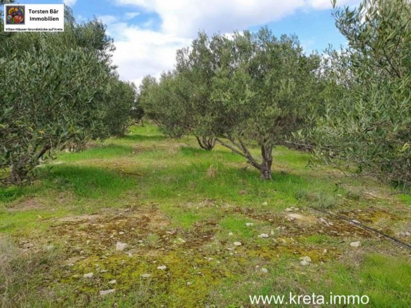 Pitsidia Süd Kreta, Pitsida Baugrundstück mit Meerblick ca.5500m² Grundstück kaufen